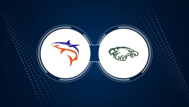 Orange Beach vs. Bayshore Christian School girl's volleyball live stream, TV – Thursday, August 29