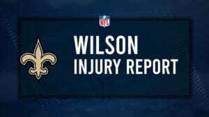 Will Cedrick Wilson Play in Week 11? NFL Injury Status, News & Updates